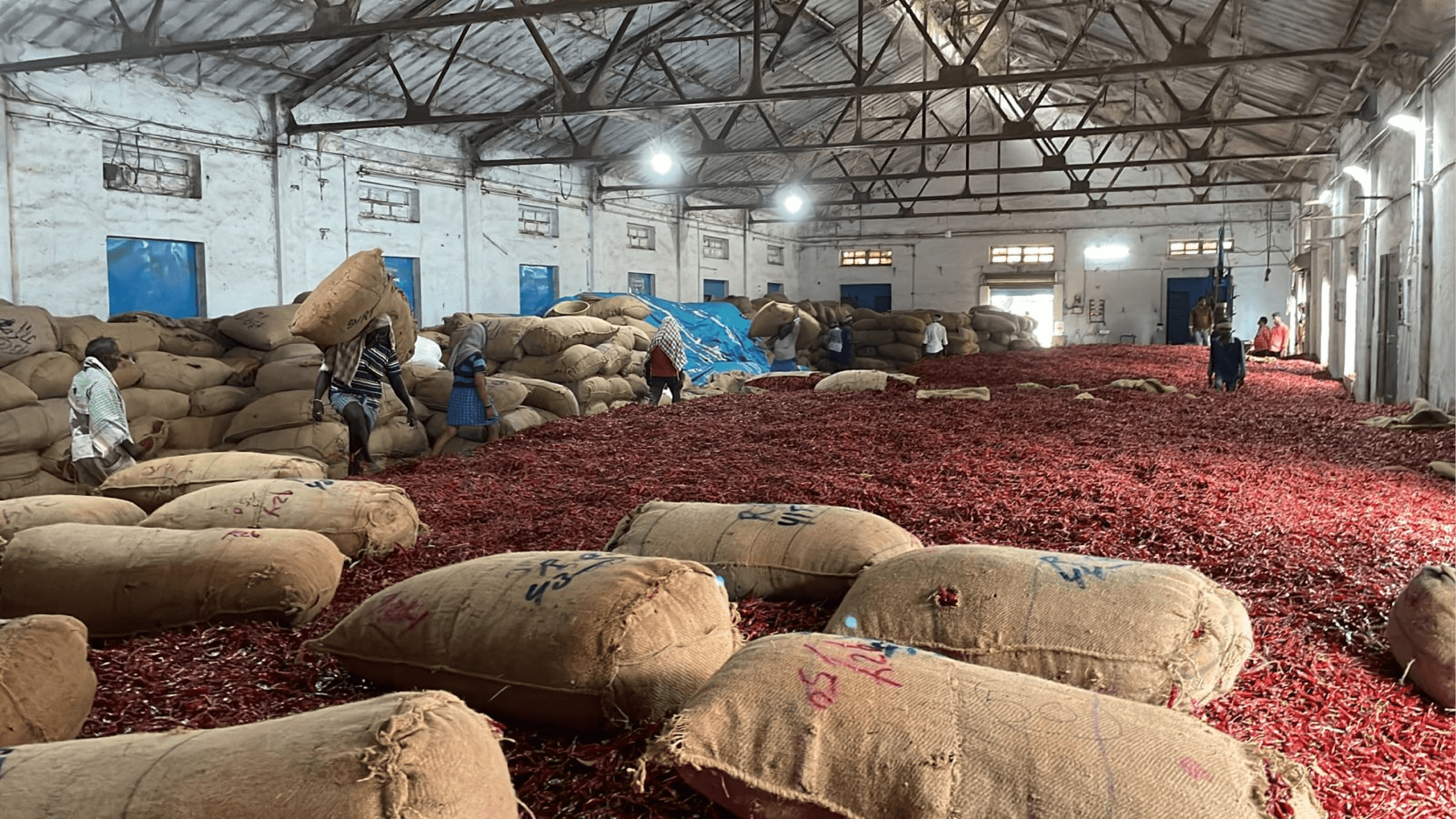 Chilli warehouse storage